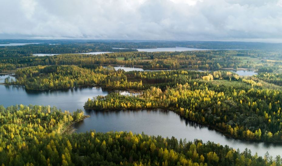Pohjois-Karjalan metsät merkit­täviä myös koko maan taloudelle