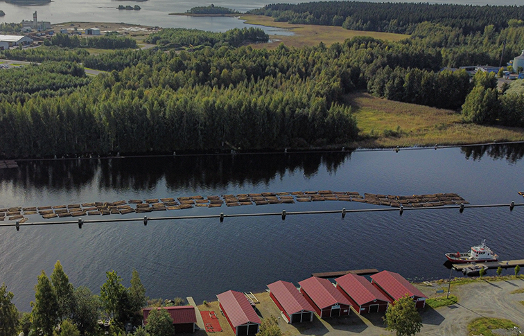 Pohjois-Karjalan metsät voivat hyvin, mutta hakkuut on toteu­tet­tava harkiten