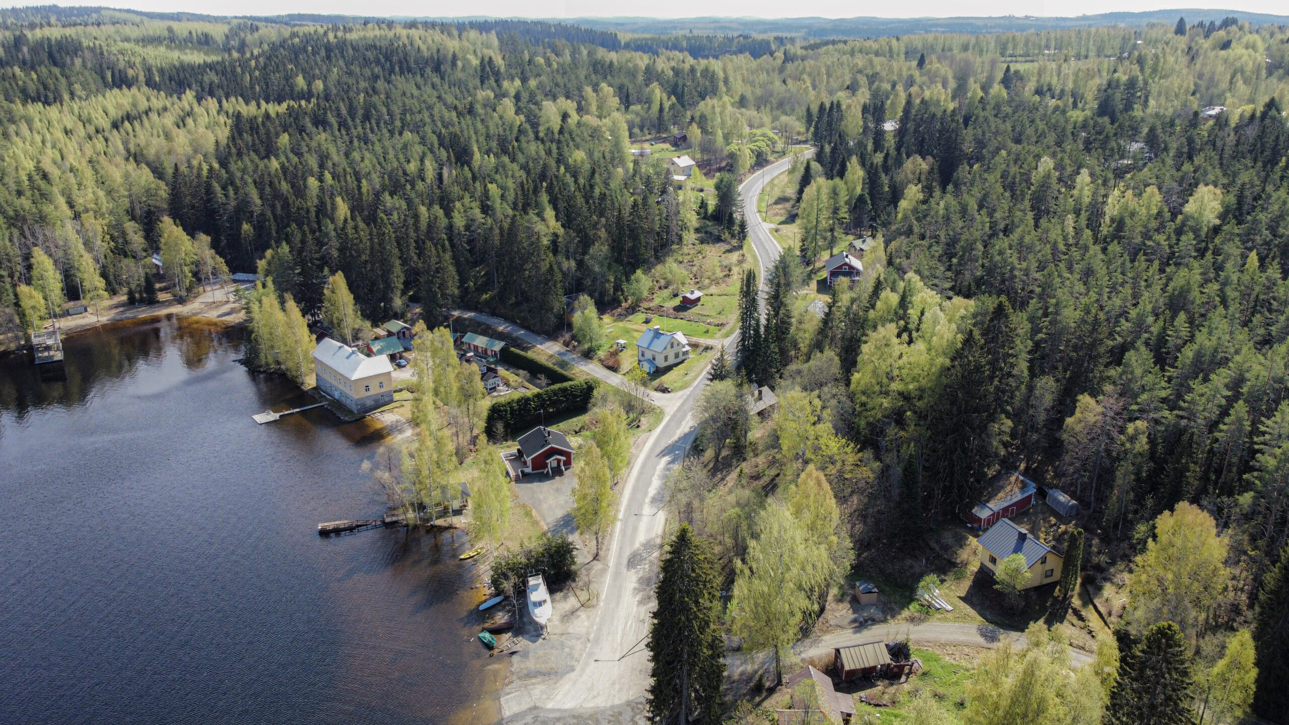 Metsä­ta­lous tuottaa, mutta kaipaa tulevai­suuden tekoja