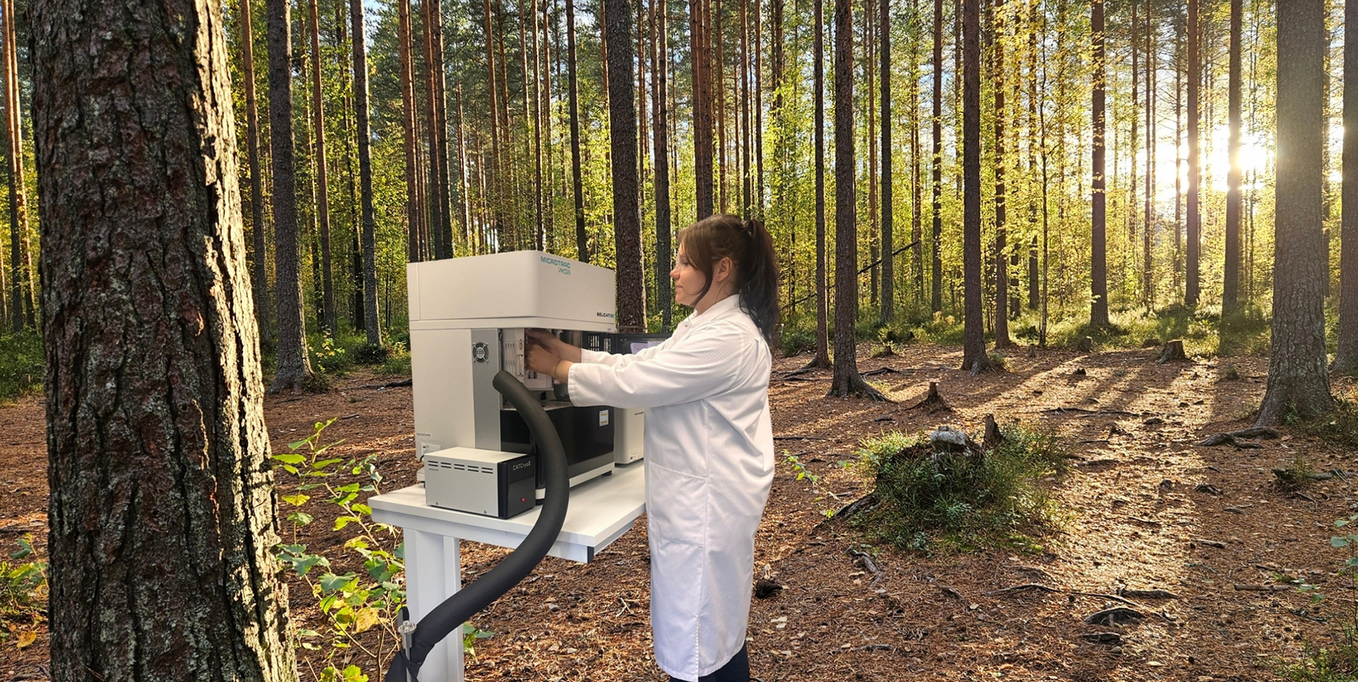 Itä-Suomesta vauhtia metsä­bio­ta­louden jalos­tusarvon nostamiseen