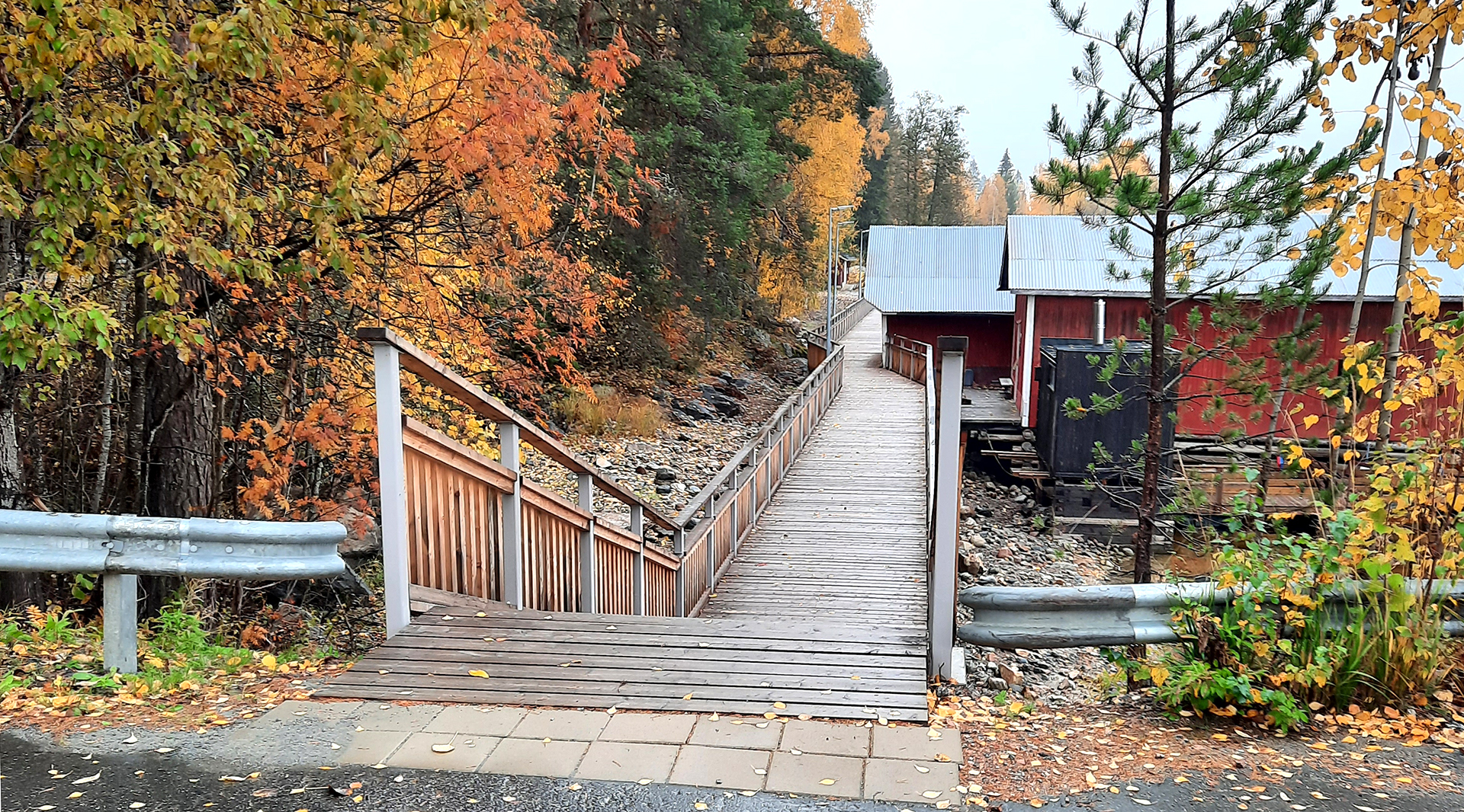 Paremmat yhteydet vauhdit­tavat yritys­toi­mintaa Itä-Suomessa