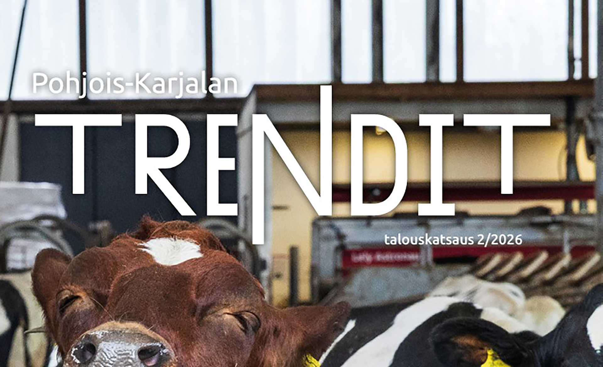 Oikaisu painettuun Trendit-numeroon: Vientitaulukossa on virhe